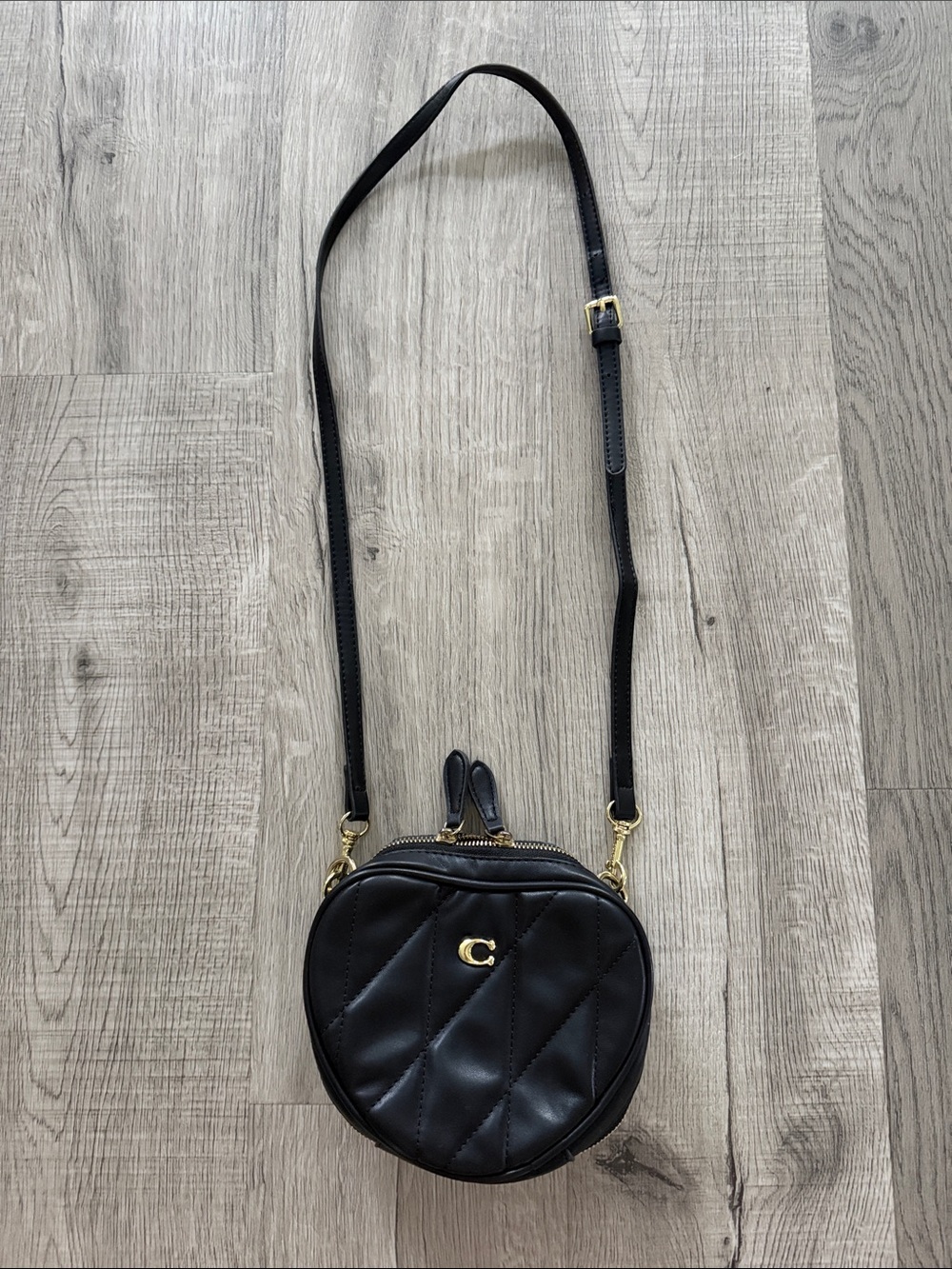 Coach Women's Black Quilted Crossbody Bag with Gold Accent